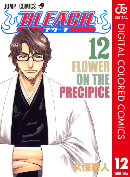 Bleach vol. 12 — capa da edição Panini