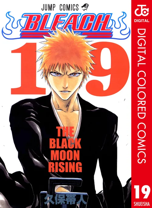 Bleach vol. 19 — capa da edição Panini