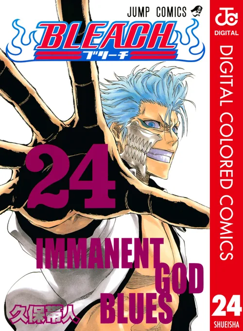 Bleach vol. 24 — capa da edição Panini