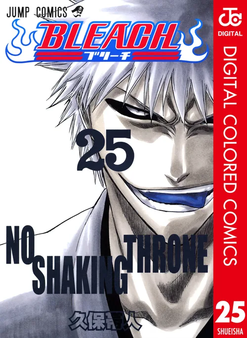 Bleach vol. 25 — capa da edição Panini