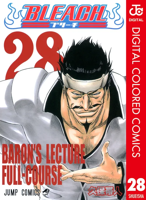 Bleach vol. 28 — capa da edição Panini