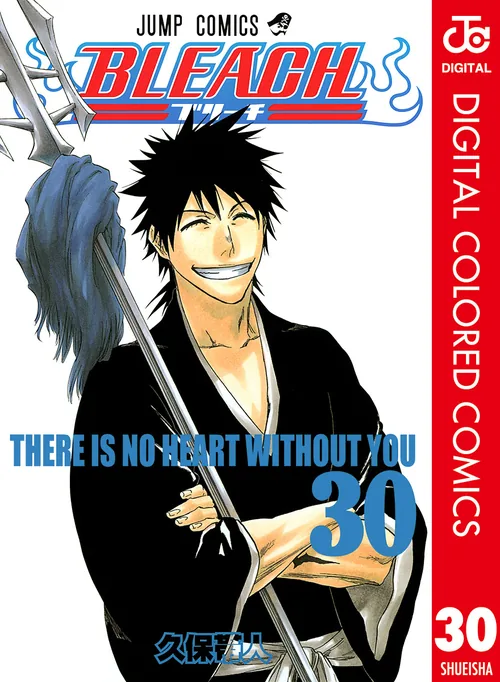 Bleach vol. 30 — capa da edição Panini