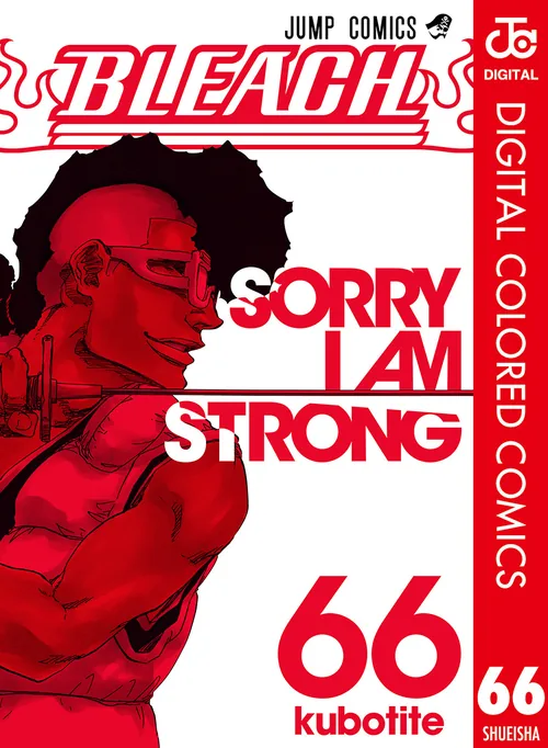 Bleach vol. 66 — capa da edição Panini